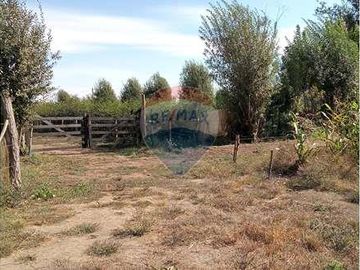 Vida de Campo Hermosos Paisajes Terreno Productivo