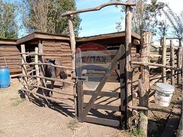 Vida de Campo Hermosos Paisajes Terreno Productivo