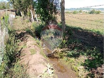 Vida de Campo Hermosos Paisajes Terreno Productivo