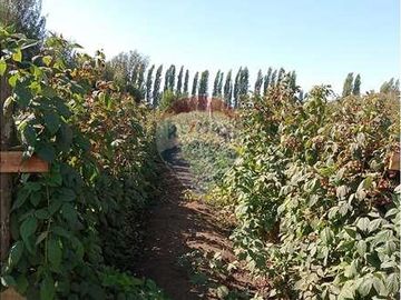 Vida de Campo Hermosos Paisajes Terreno Productivo
