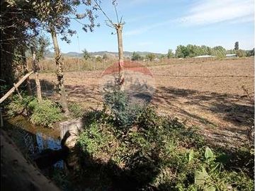 Vida de Campo Hermosos Paisajes Terreno Productivo