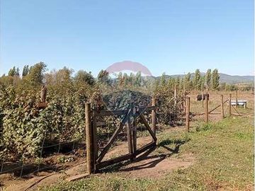 Vida de Campo Hermosos Paisajes Terreno Productivo