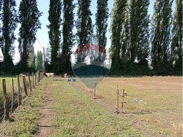 Vida de Campo Hermosos Paisajes Terreno Productivo