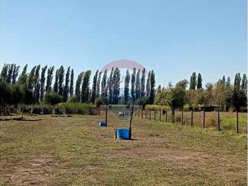 Vida de Campo Hermosos Paisajes Terreno Productivo