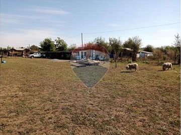 Vida de Campo Hermosos Paisajes Terreno Productivo