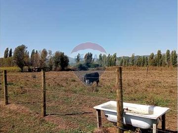 Vida de Campo Hermosos Paisajes Terreno Productivo