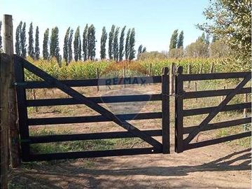 Vida de Campo Hermosos Paisajes Terreno Productivo