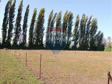 Vida de Campo Hermosos Paisajes Terreno Productivo
