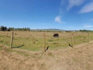 Vida de Campo Hermosos Paisajes Terreno Productivo