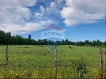 Vida de Campo Hermosos Paisajes Terreno Productivo