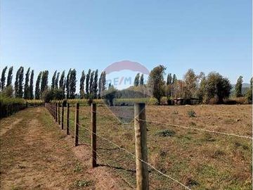 Vida de Campo Hermosos Paisajes Terreno Productivo