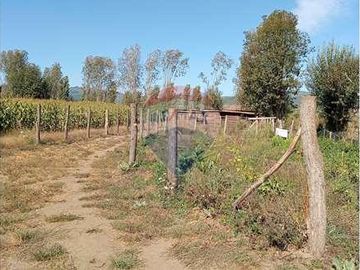 Vida de Campo Hermosos Paisajes Terreno Productivo