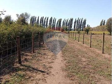 Vida de Campo Hermosos Paisajes Terreno Productivo