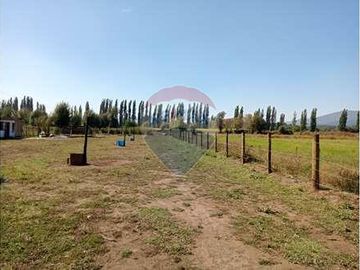 Vida de Campo Hermosos Paisajes Terreno Productivo