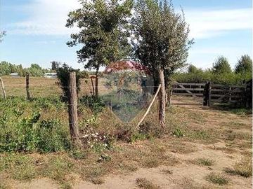 Vida de Campo Hermosos Paisajes Terreno Productivo