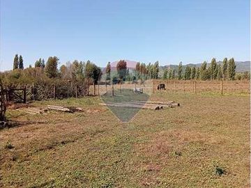 Vida de Campo Hermosos Paisajes Terreno Productivo
