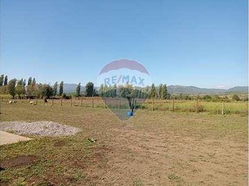 Vida de Campo Hermosos Paisajes Terreno Productivo