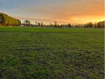 Vida de Campo Hermosos Paisajes Terreno Productivo