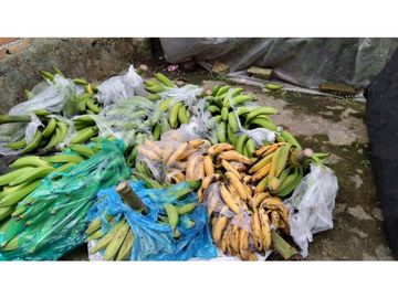 SE VENDE FINCA PRODUCTIVA DE CAFE 7 HECTAREAS EN QUINDIO GENOVA