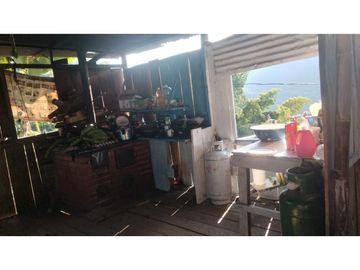 SE VENDE FINCA PRODUCTIVA DE CAFE 7 HECTAREAS EN QUINDIO GENOVA