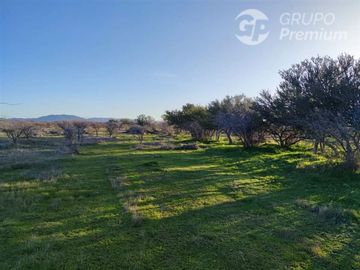 Sitio en Venta en CAPELLANIA M LT.B 31