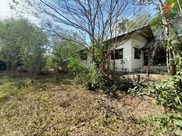 For Sale 1-storey 3 buildings detached house Khon Kaen Manchakhiri , Kut Khao , Mancha Khiri , Khon Kaen , CX-112764