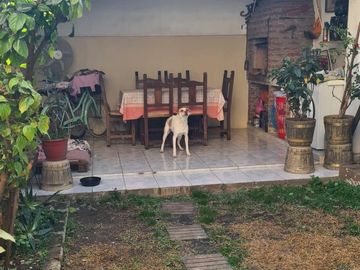 PH 3 ambientes con altillo y fondo libre con quincho