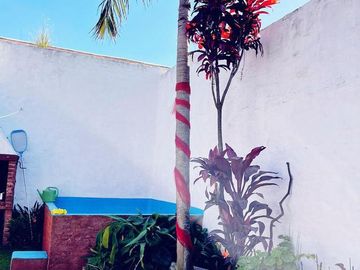 CASA DE 4 AMB  SOBRE LOTE DE 8,66X35