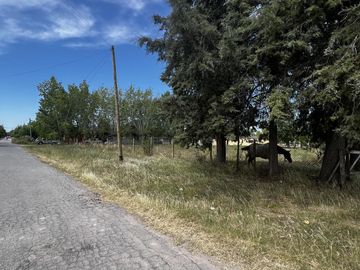Terreno en  venta en Olmos La Plata