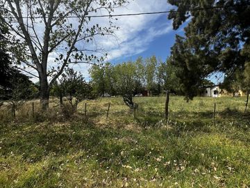 Terreno en  venta en Olmos La Plata