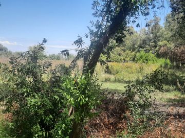 Campo de 49H en venta - Fatima Pilar km 60 Panamericana
