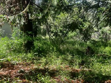 Campo de 49H en venta - Fatima Pilar km 60 Panamericana