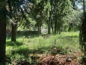 Campo de 49H en venta - Fatima Pilar km 60 Panamericana