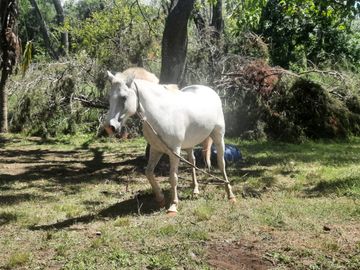Campo de 49H en venta - Fatima Pilar km 60 Panamericana
