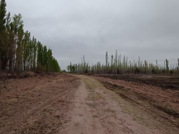 5 héctareas (chacra)  con riego y entrada individual en 25 de mayo La Pampa