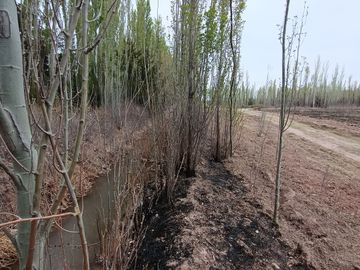 5 héctareas (chacra)  con riego y entrada individual en 25 de mayo La Pampa