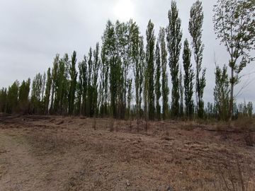 5 héctareas (chacra)  con riego y entrada individual en 25 de mayo La Pampa