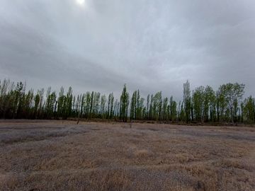 5 héctareas (chacra)  con riego y entrada individual en 25 de mayo La Pampa