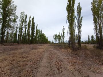 5 héctareas (chacra)  con riego y entrada individual en 25 de mayo La Pampa