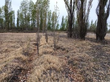 5 héctareas (chacra)  con riego y entrada individual en 25 de mayo La Pampa