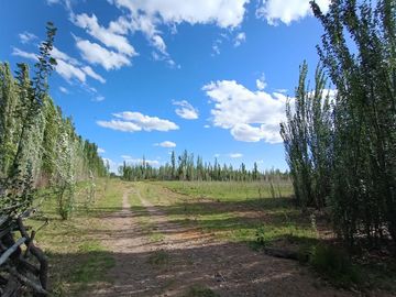 5 héctareas (chacra)  con riego y entrada individual en 25 de mayo La Pampa