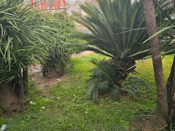 Pacheco - Zeballos al 1000 -  Casa lote propio para uso comercial y vivienda