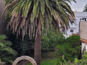 Casa en venta - 4 Dormitorios 3 Baños 1 Cochera - 330Mts2 - Miramar