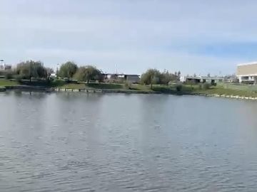 Lote al Lago en Venta en Virazon