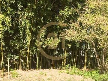 VENTA PARCELA AGRORESIDENCIAL CHILLÁN, SAN NICOLÁS