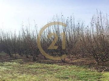 VENTA PARCELA AGRORESIDENCIAL CHILLÁN, SAN NICOLÁS
