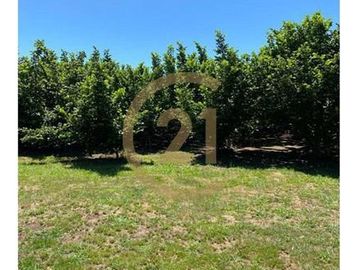 VENTA PARCELA AGRORESIDENCIAL CHILLÁN, SAN NICOLÁS