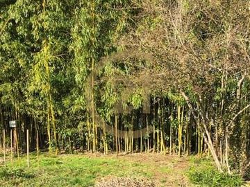 VENTA PARCELA AGRORESIDENCIAL CHILLÁN, SAN NICOLÁS