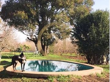 VENTA PARCELA AGRORESIDENCIAL CHILLÁN, SAN NICOLÁS