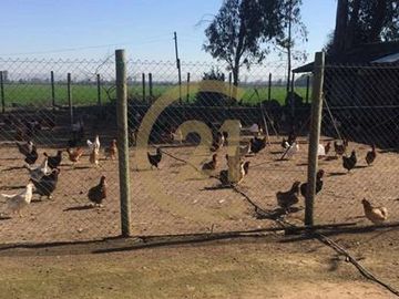 VENTA PARCELA AGRORESIDENCIAL CHILLÁN, SAN NICOLÁS
